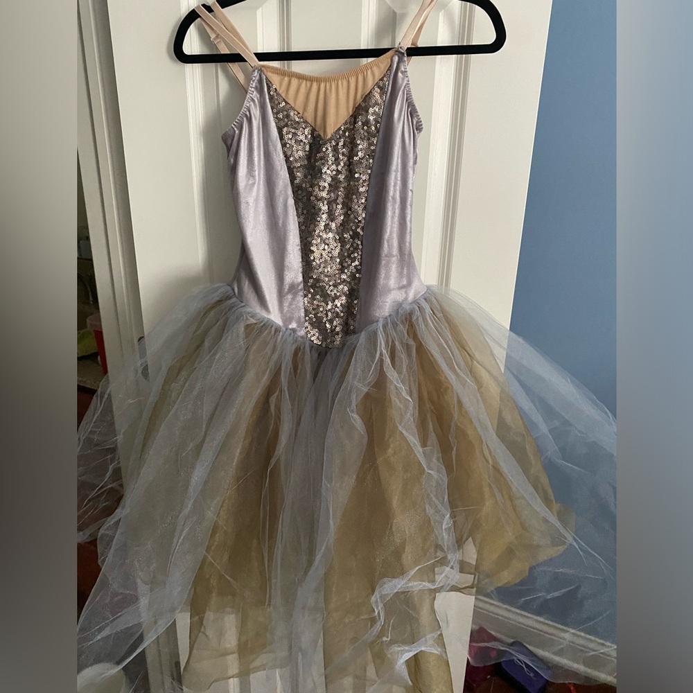 Silver and Gold Dance Costume
